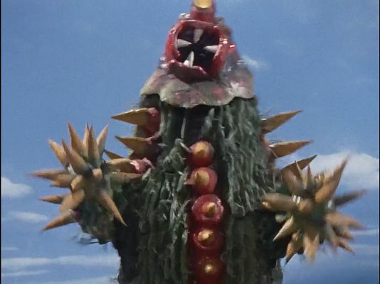 Cactus Terrible-Monster Sabotendar